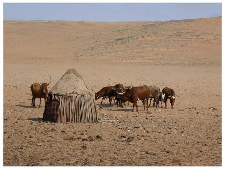 Hut in Serra Cafema, Namibia
