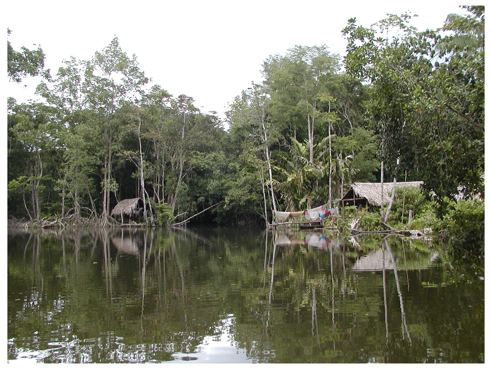 Warau Indian Huts, Orinocco Delta, Venezuela