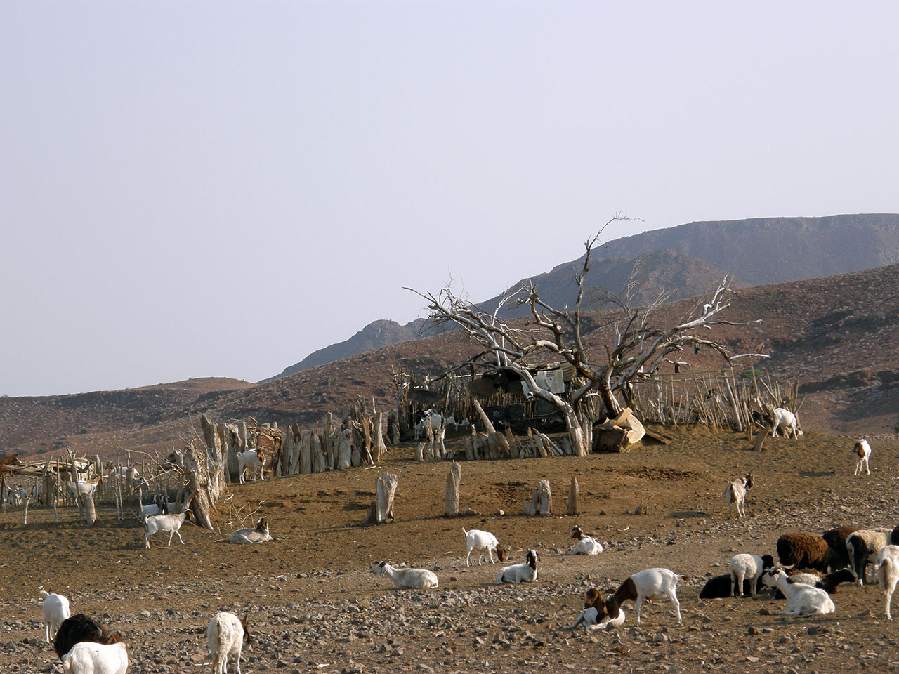 Livestock barn, Damaraland, Namibia