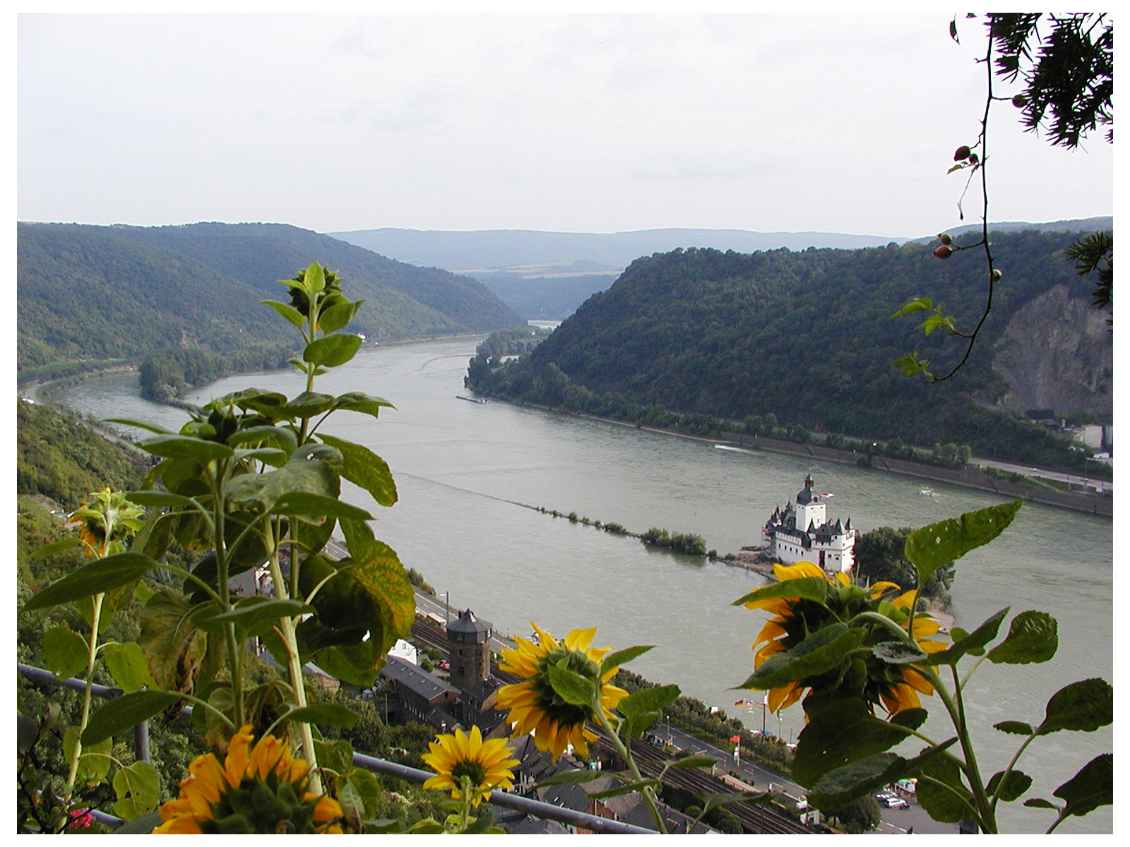 View from Schloss Rheinfels, Germany