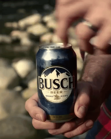busch.gif
