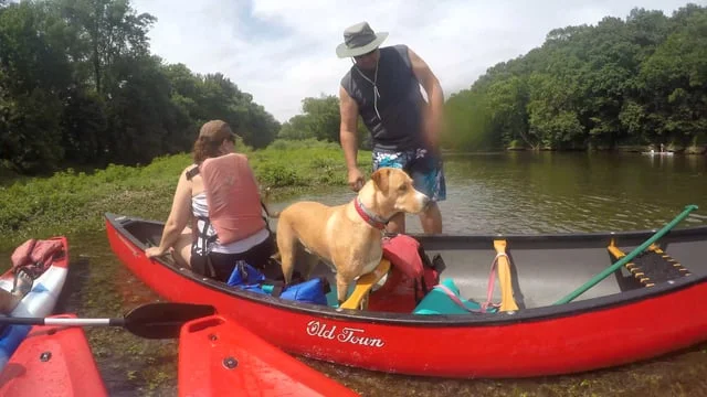 Kayaking: Harpeth River & Caney Fork River
