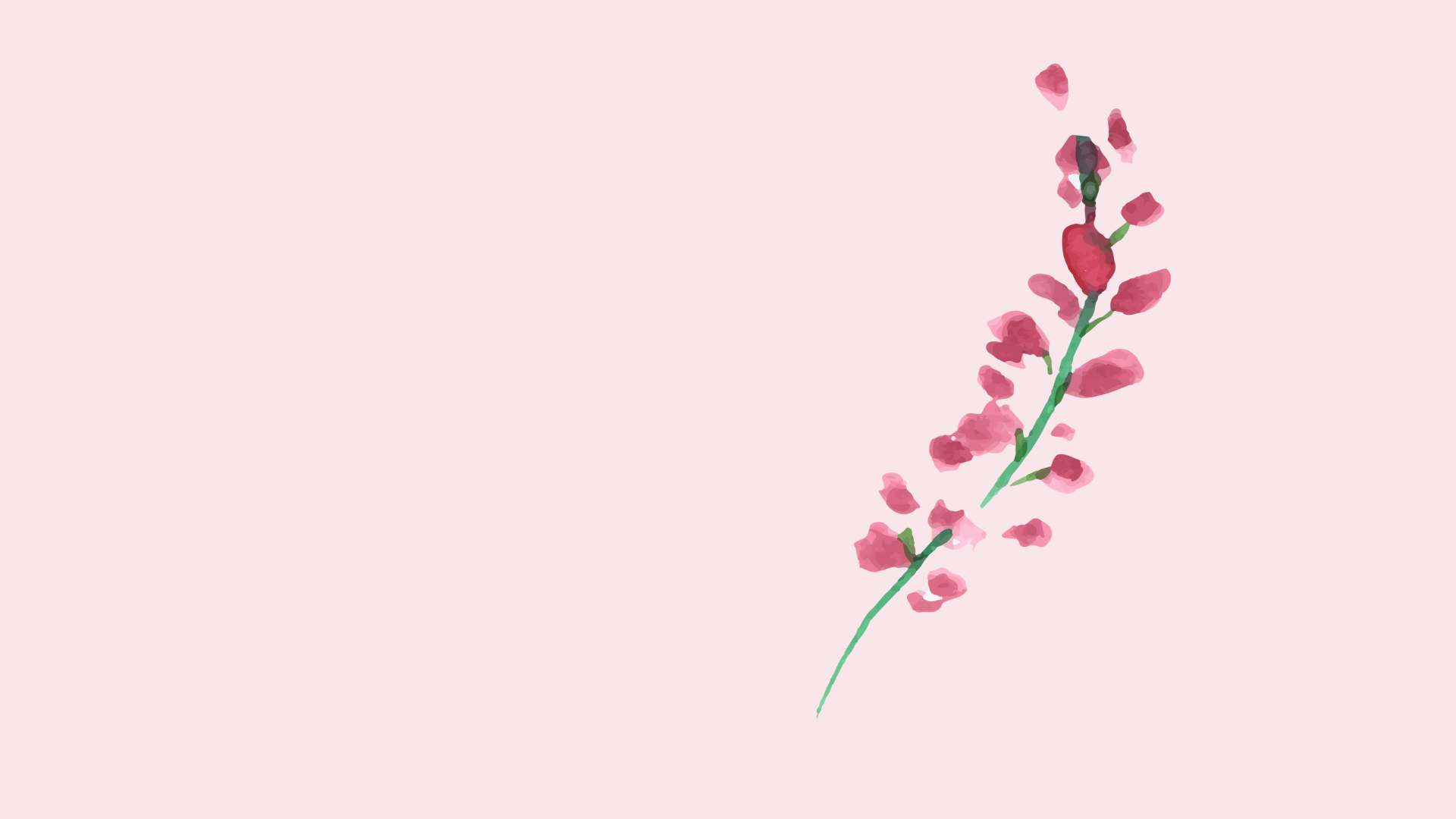 Untitled design (2).png