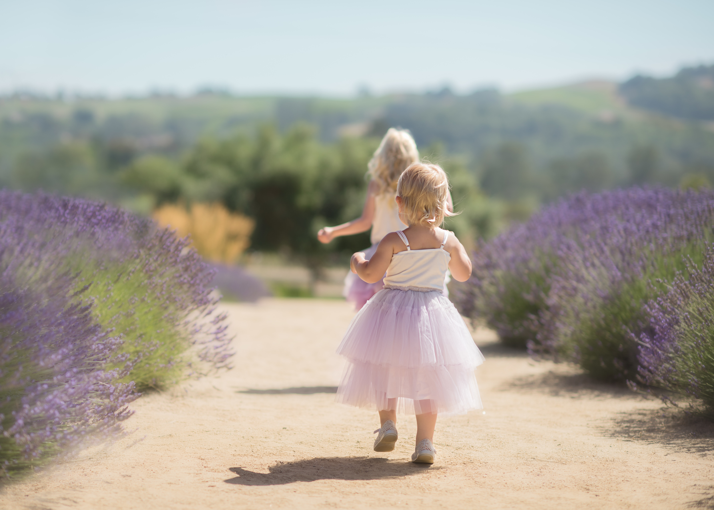 Santa-Rosa-Child-Photographer