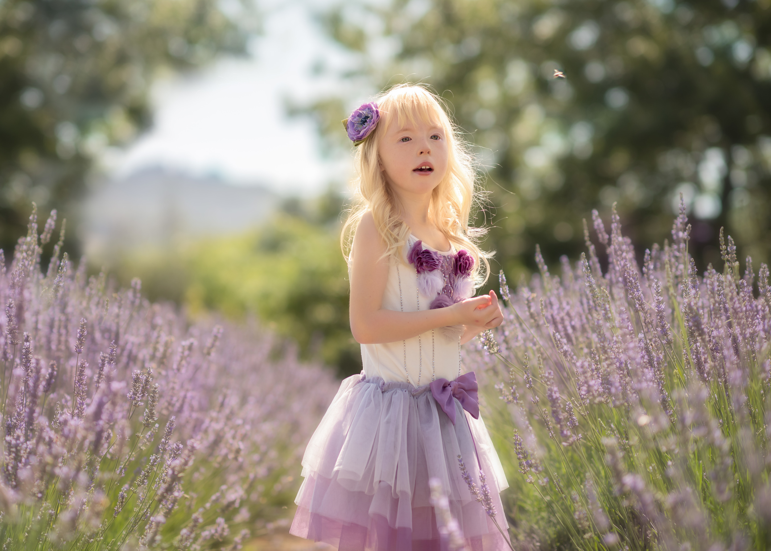 Santa-Rosa-Child-Photographer