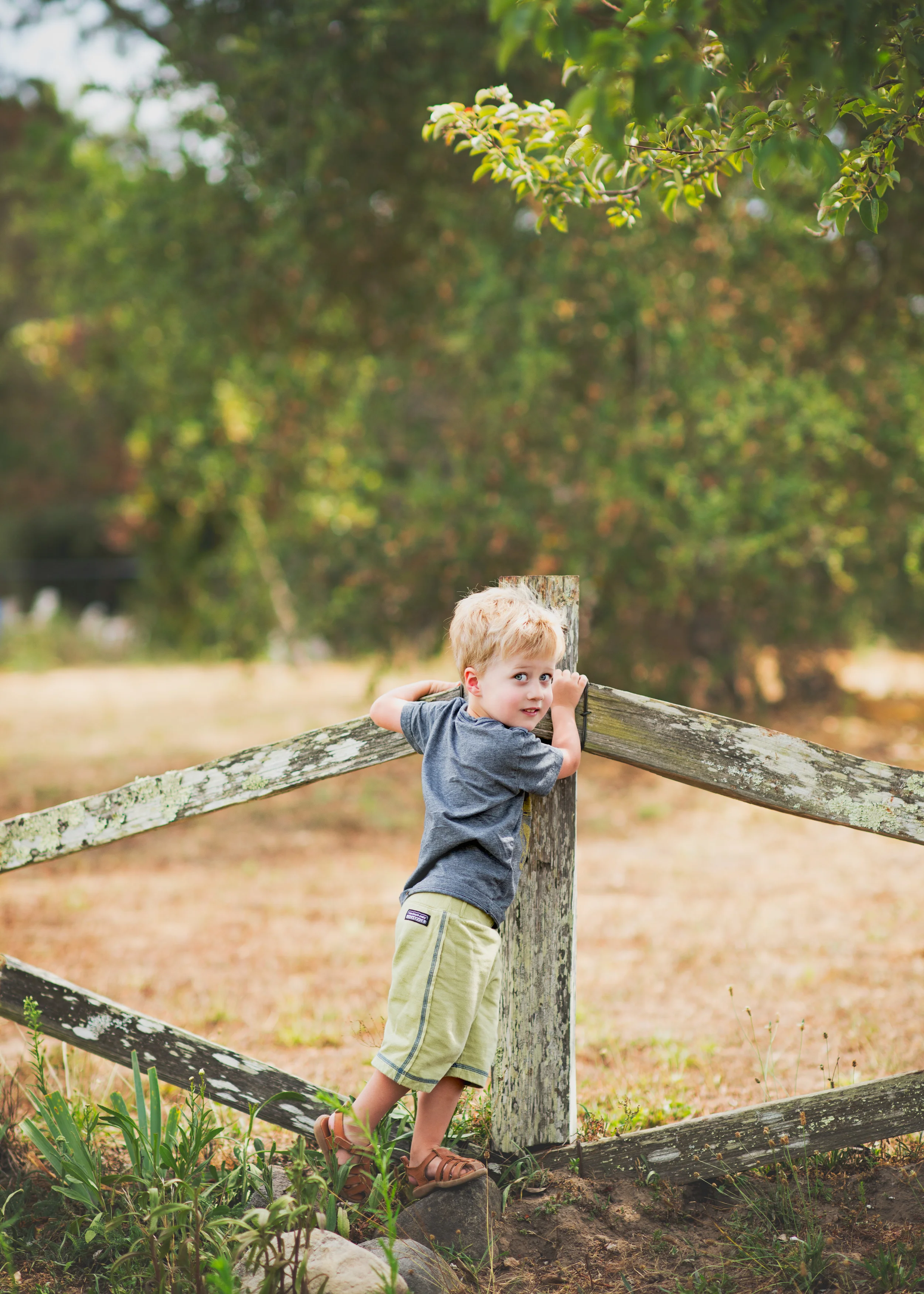 Santa-Rosa-Child-Photographer