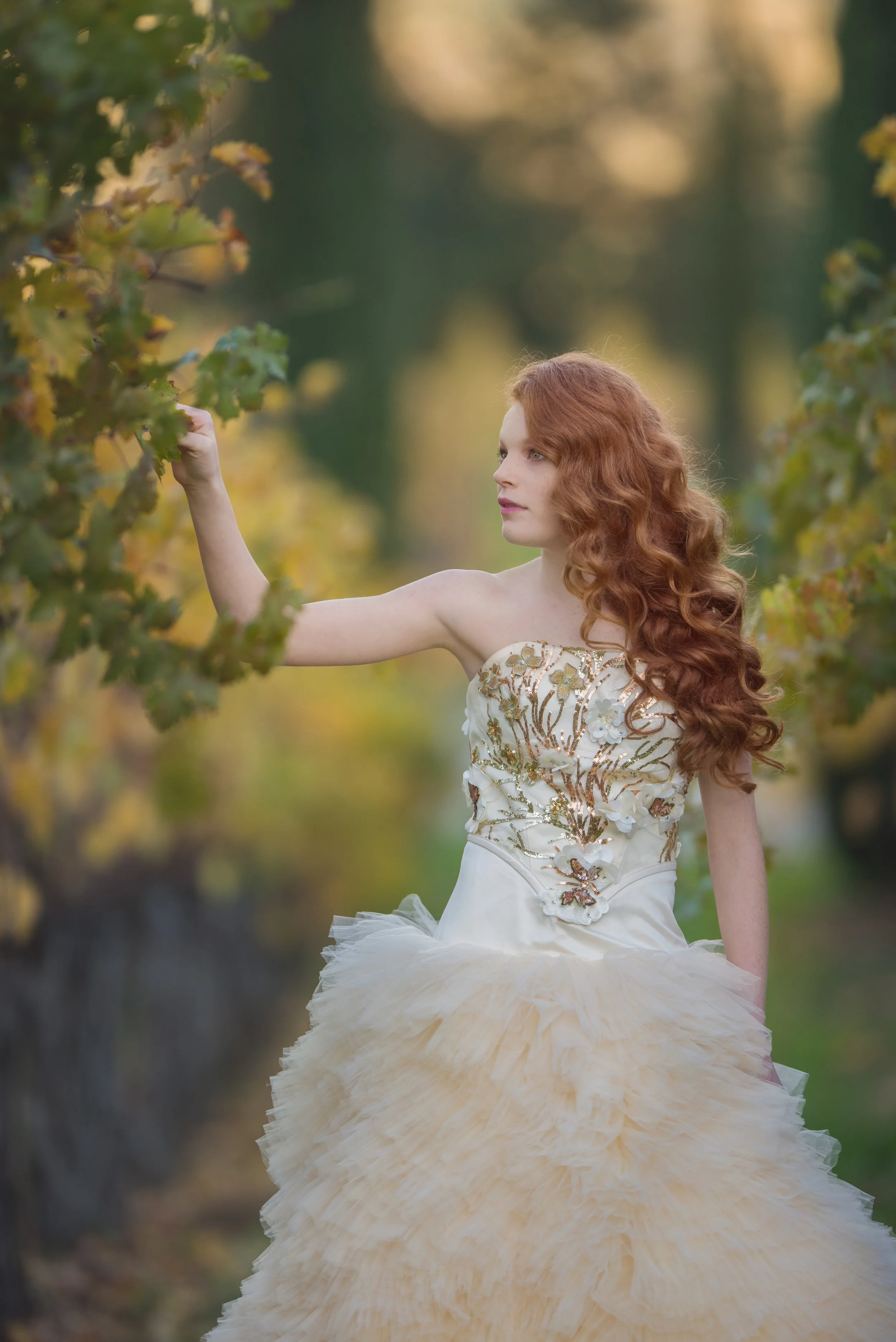 Santa-Rosa-Fashion-Photographer