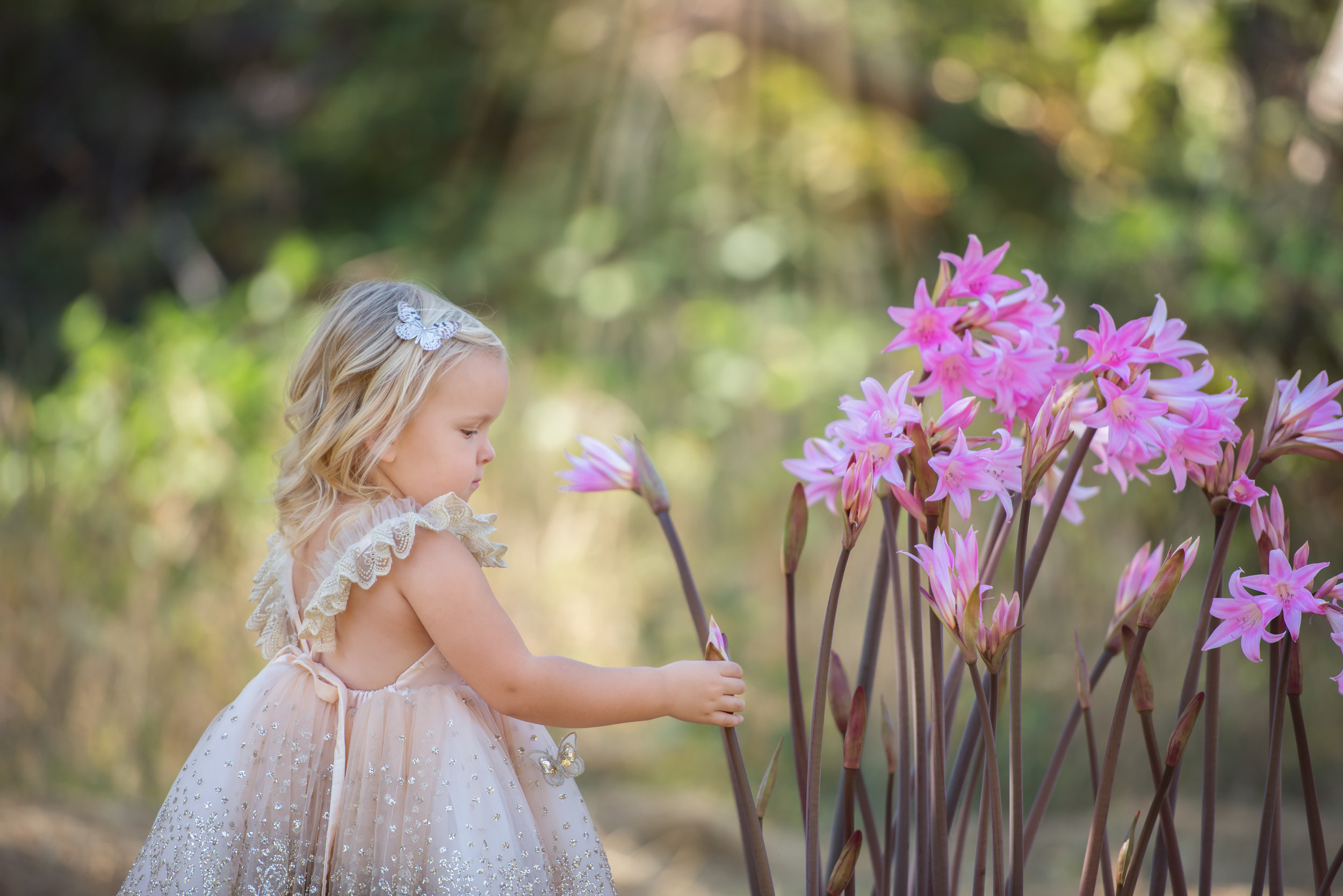 Santa-Rosa-Child-Photographer