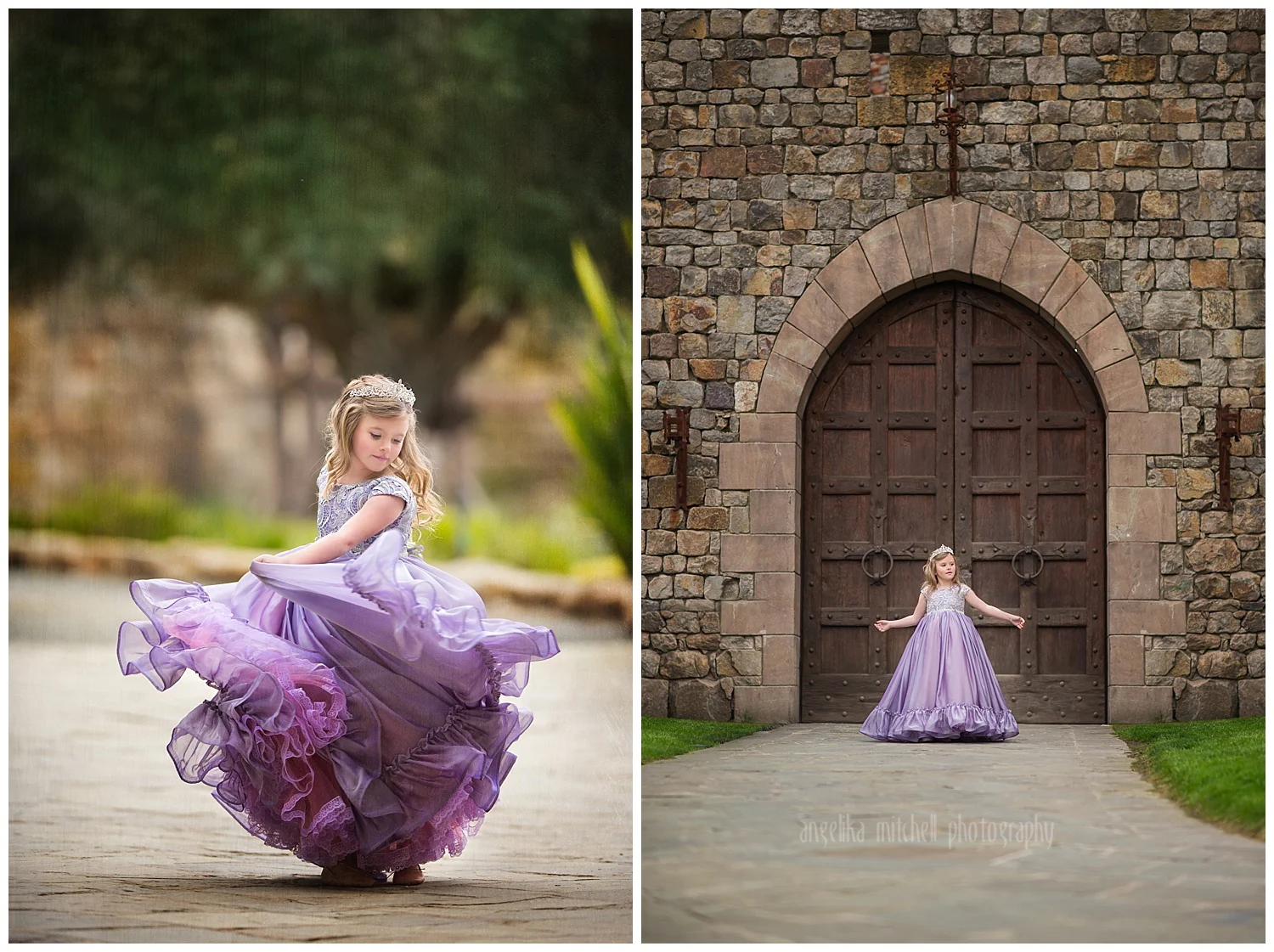 Princess Session Sonoma County Photographer Angelika Mitchell.jpg