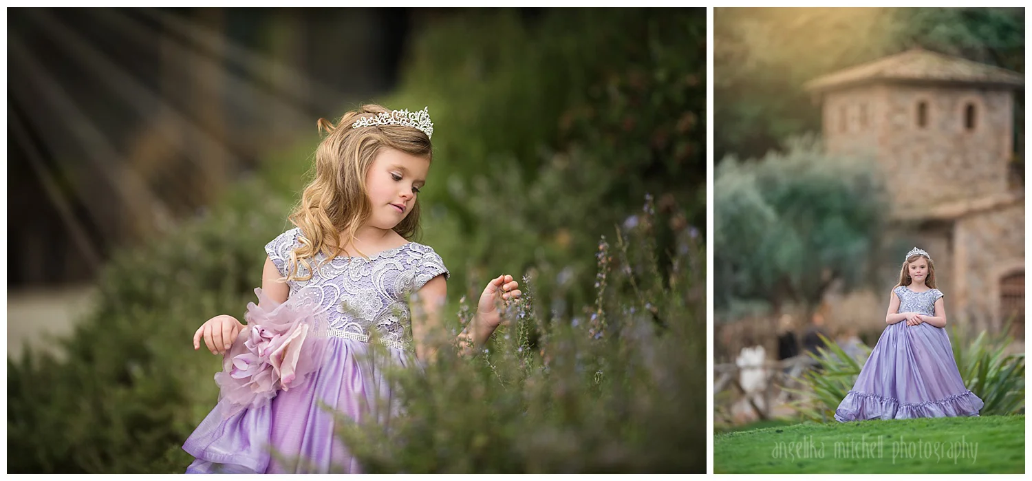 Princess Session Sonoma County Photographer Angelika Mitchell.jpg