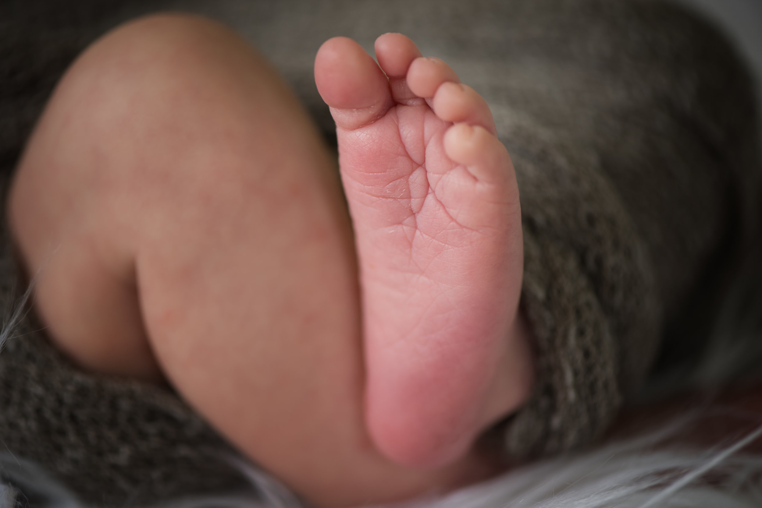 Santa-Rosa-Newborn-Photographer
