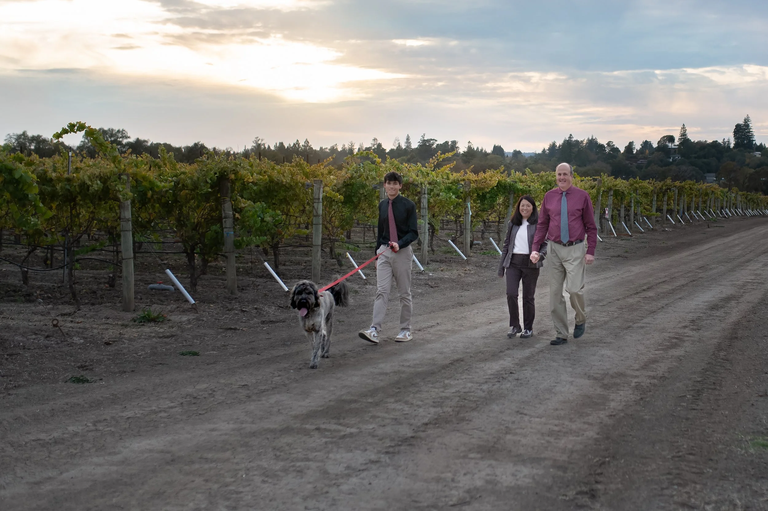 Sebastopol Vineyard Family Photos 