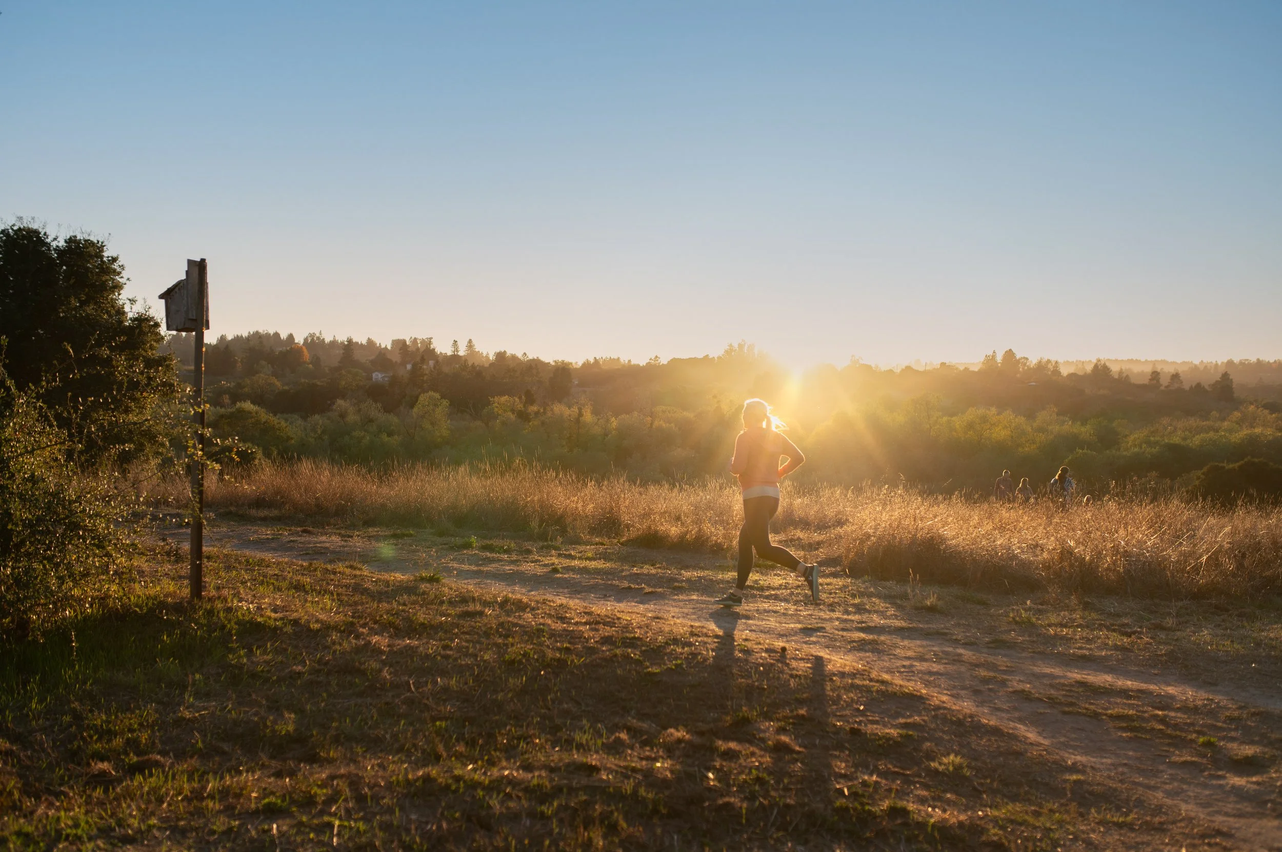 Sebastopol Personal Branding Content Shoot