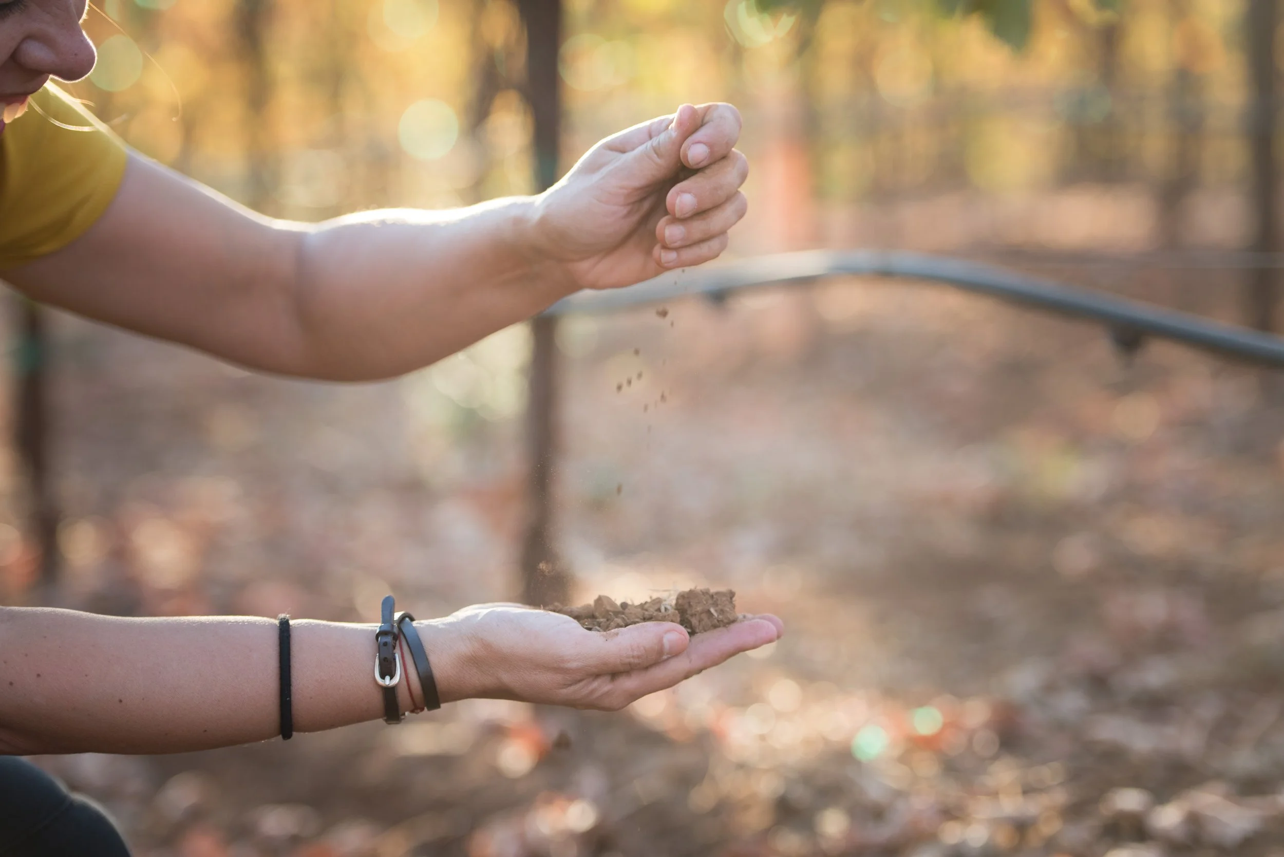 soil test at vineyard