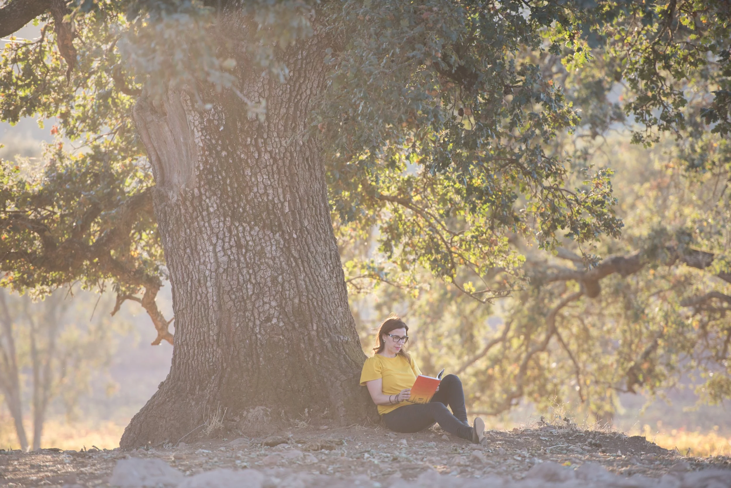 woman reading a book under a tree 