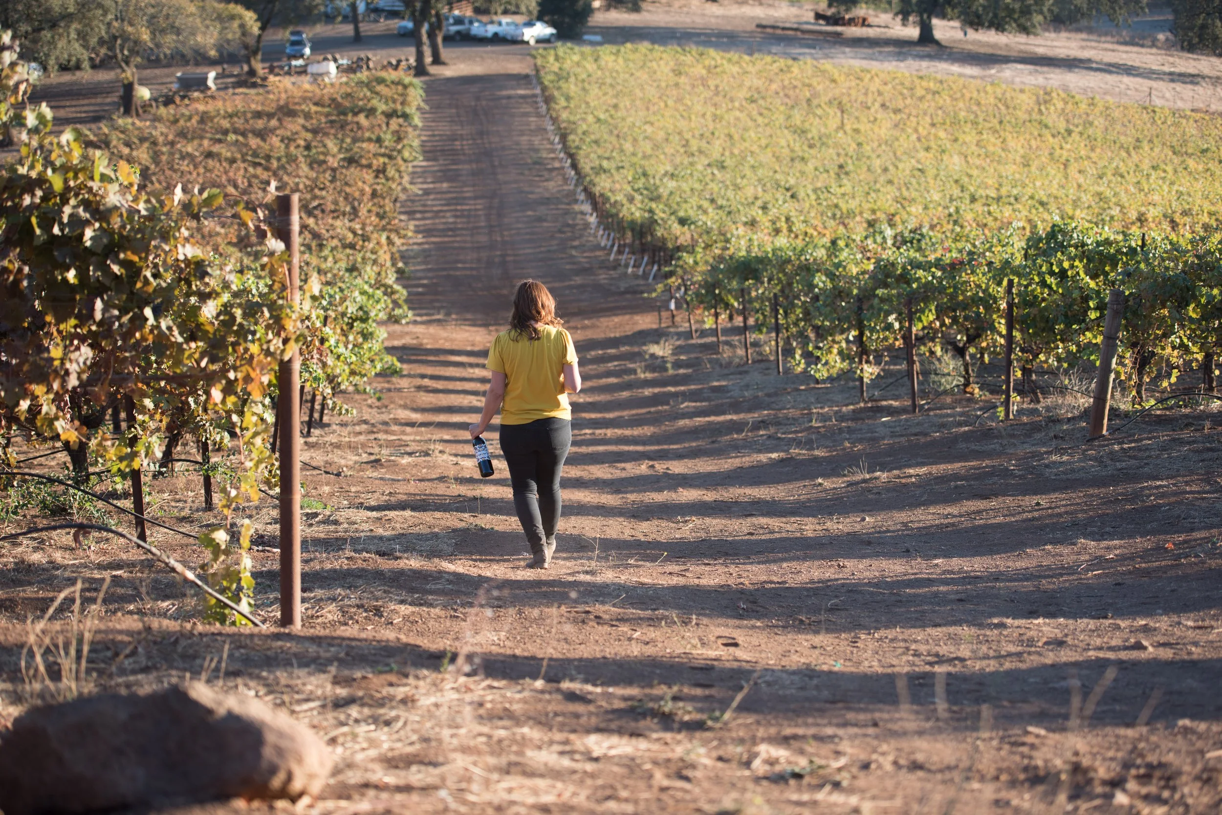woman walking in vineyard
