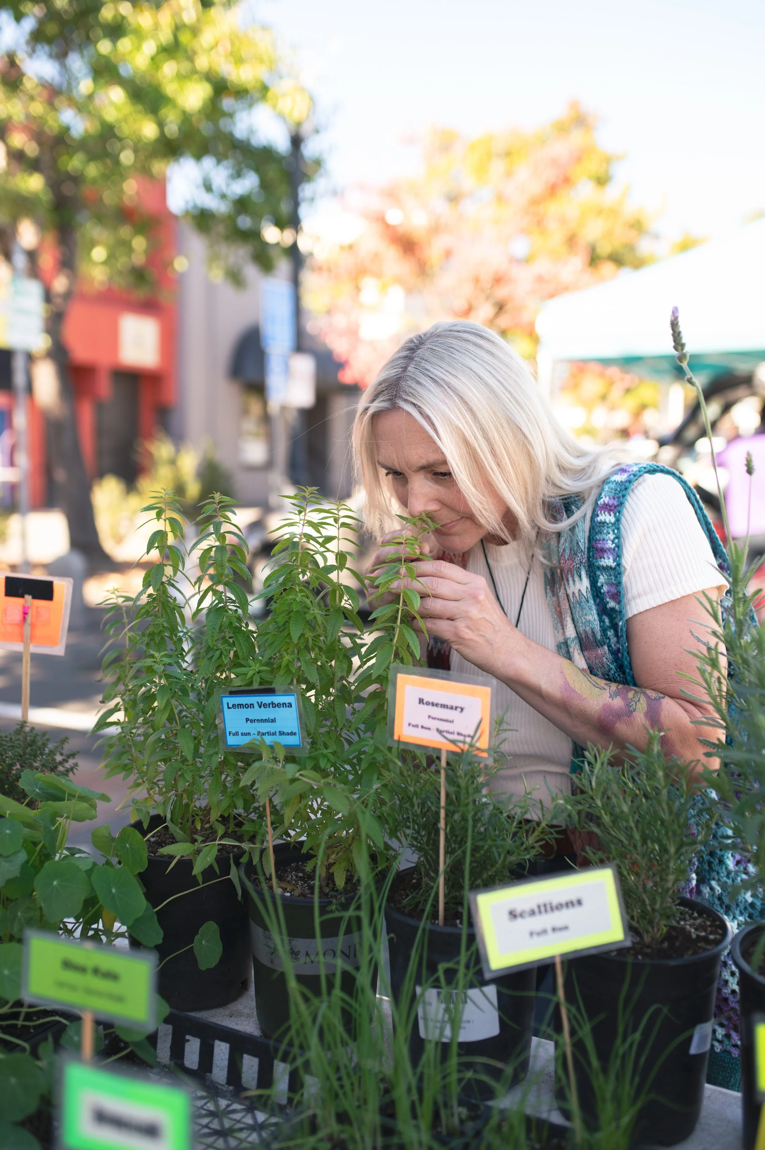 woman smelling herbs at the farmers market