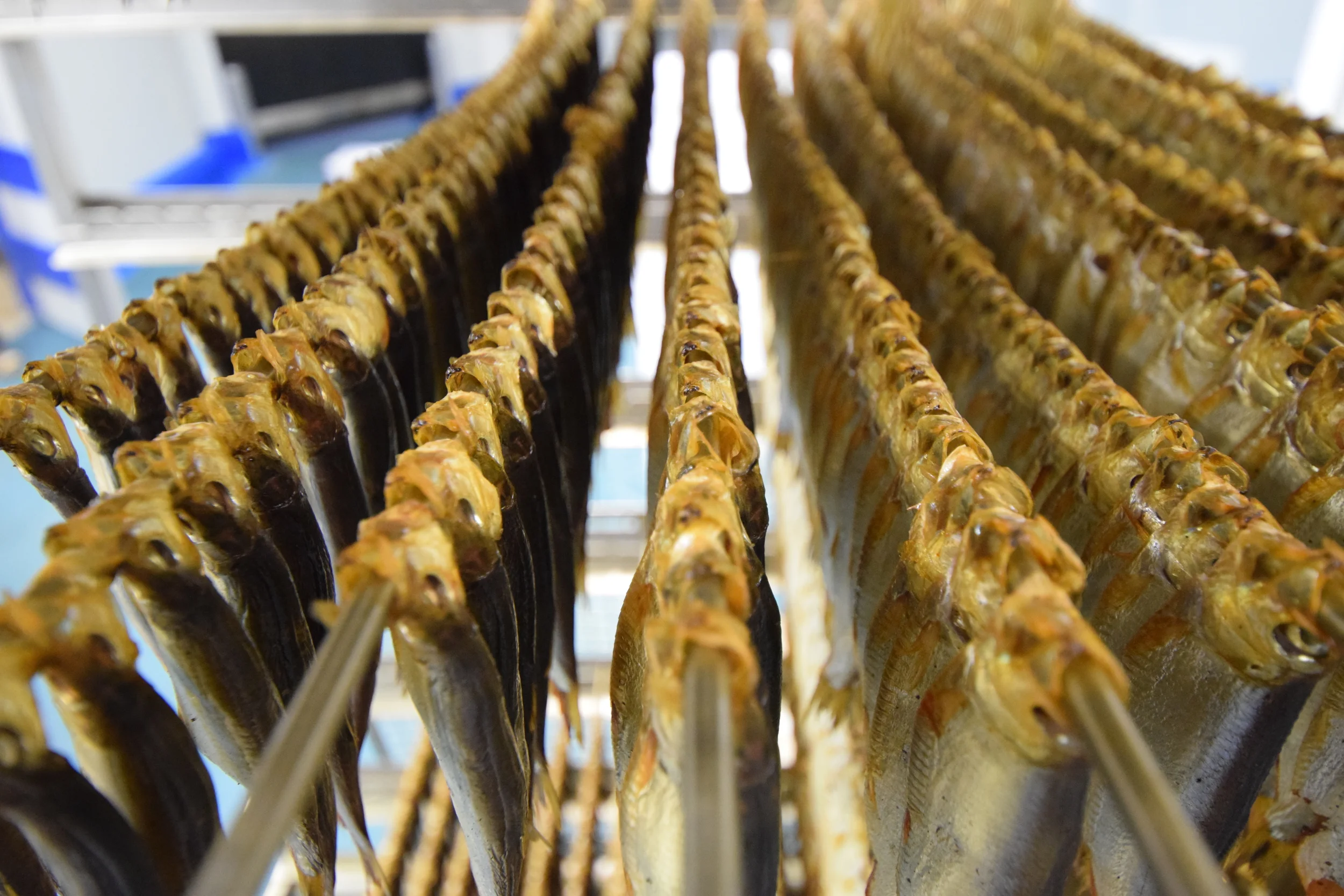 smoked sprat