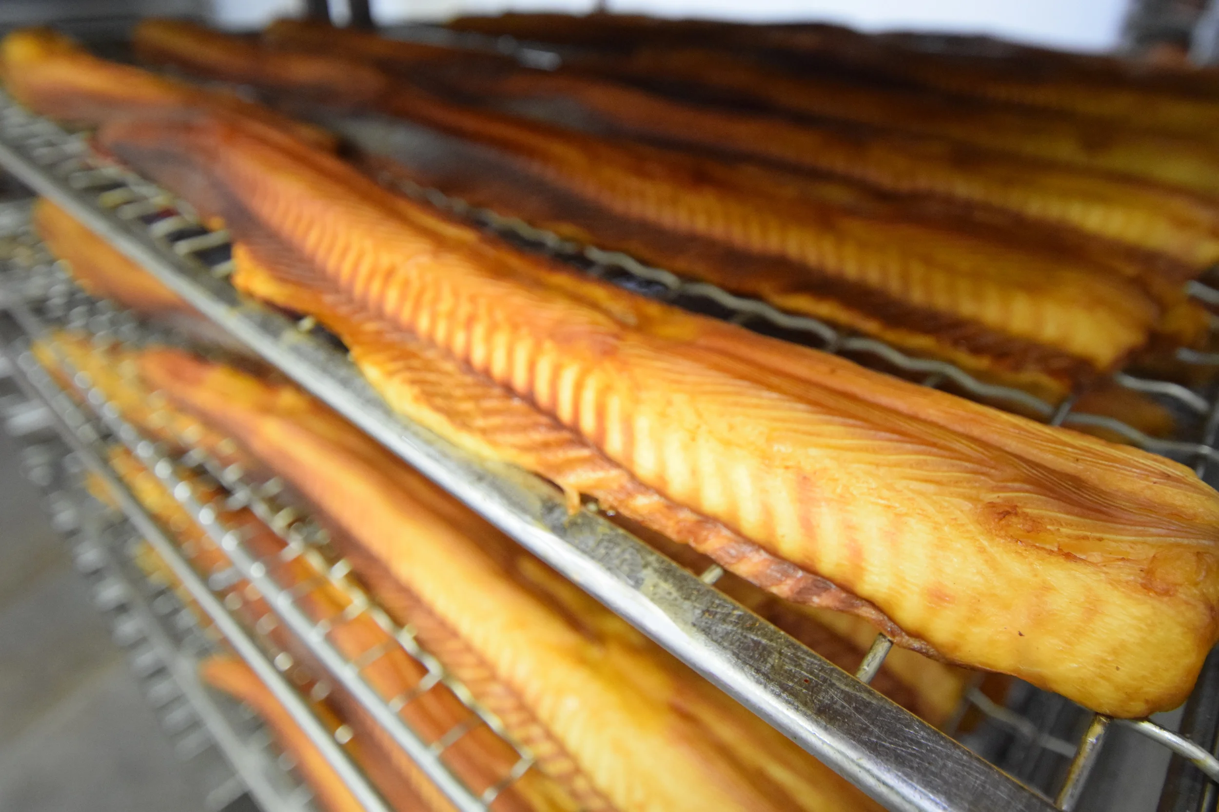 anguille de mer fumé