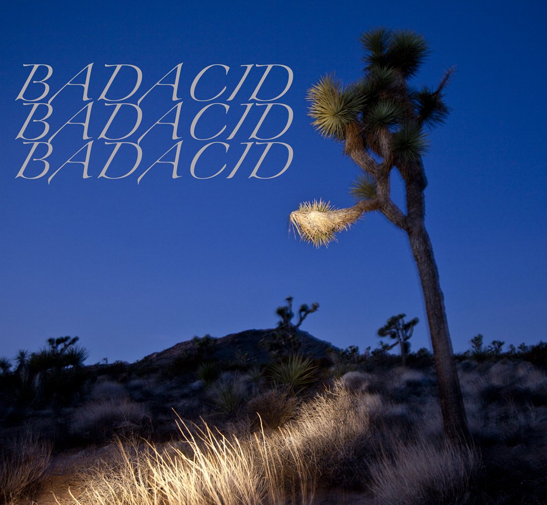 _badacid.jpg