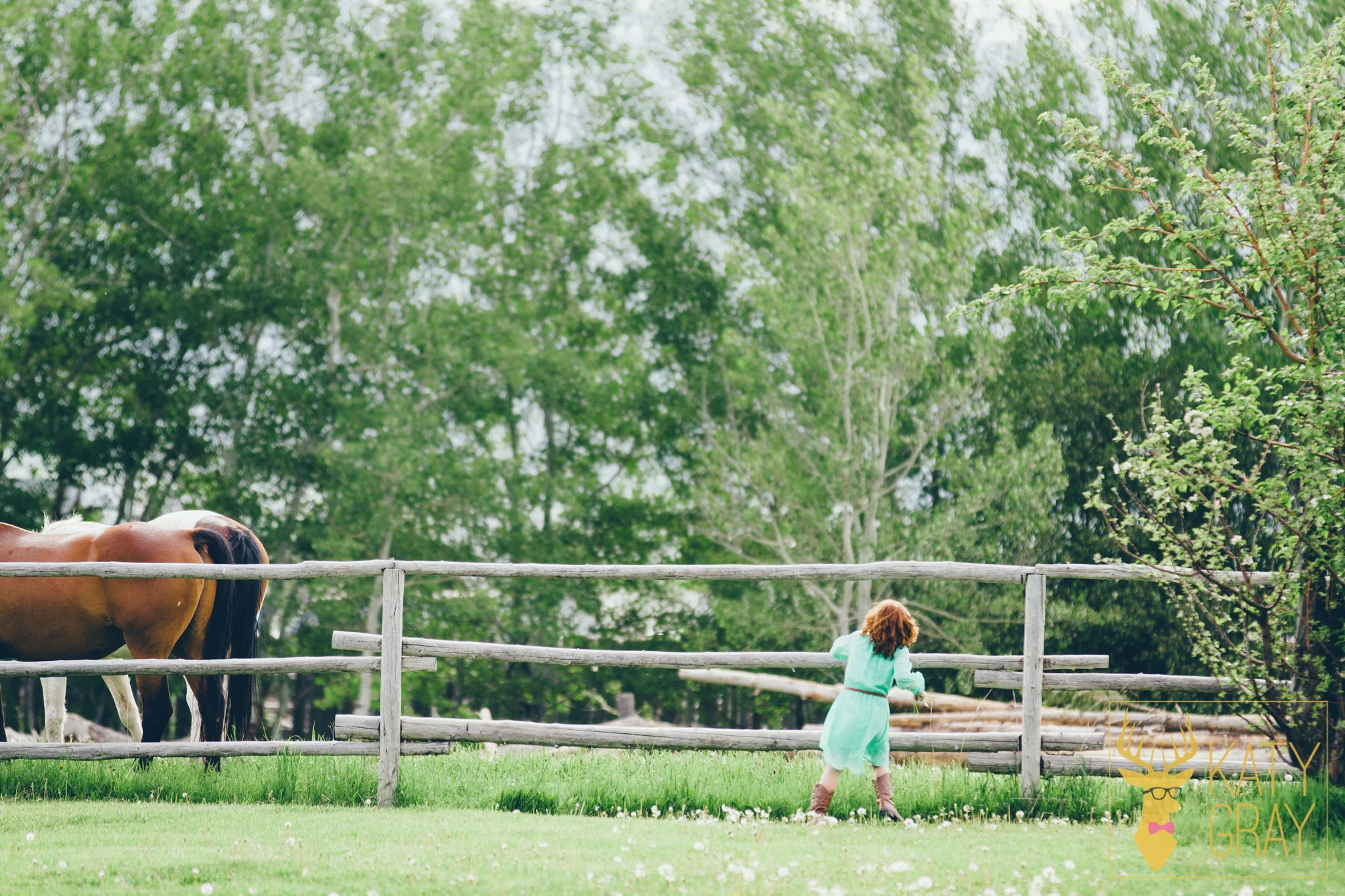 20140607-1435.jpg