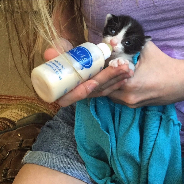 Ruth bottle-feeding Luz