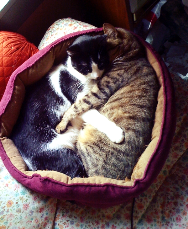 Lou-Lou & Libby