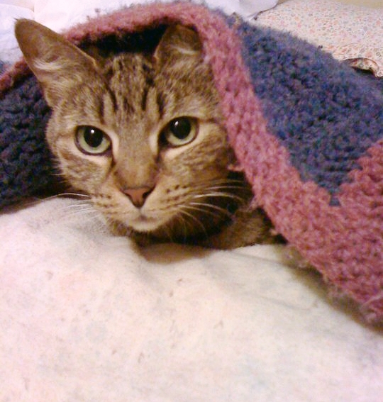 Libby