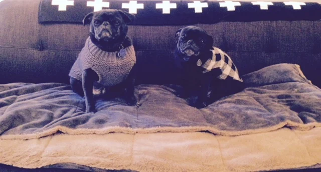 Daisy and Elly