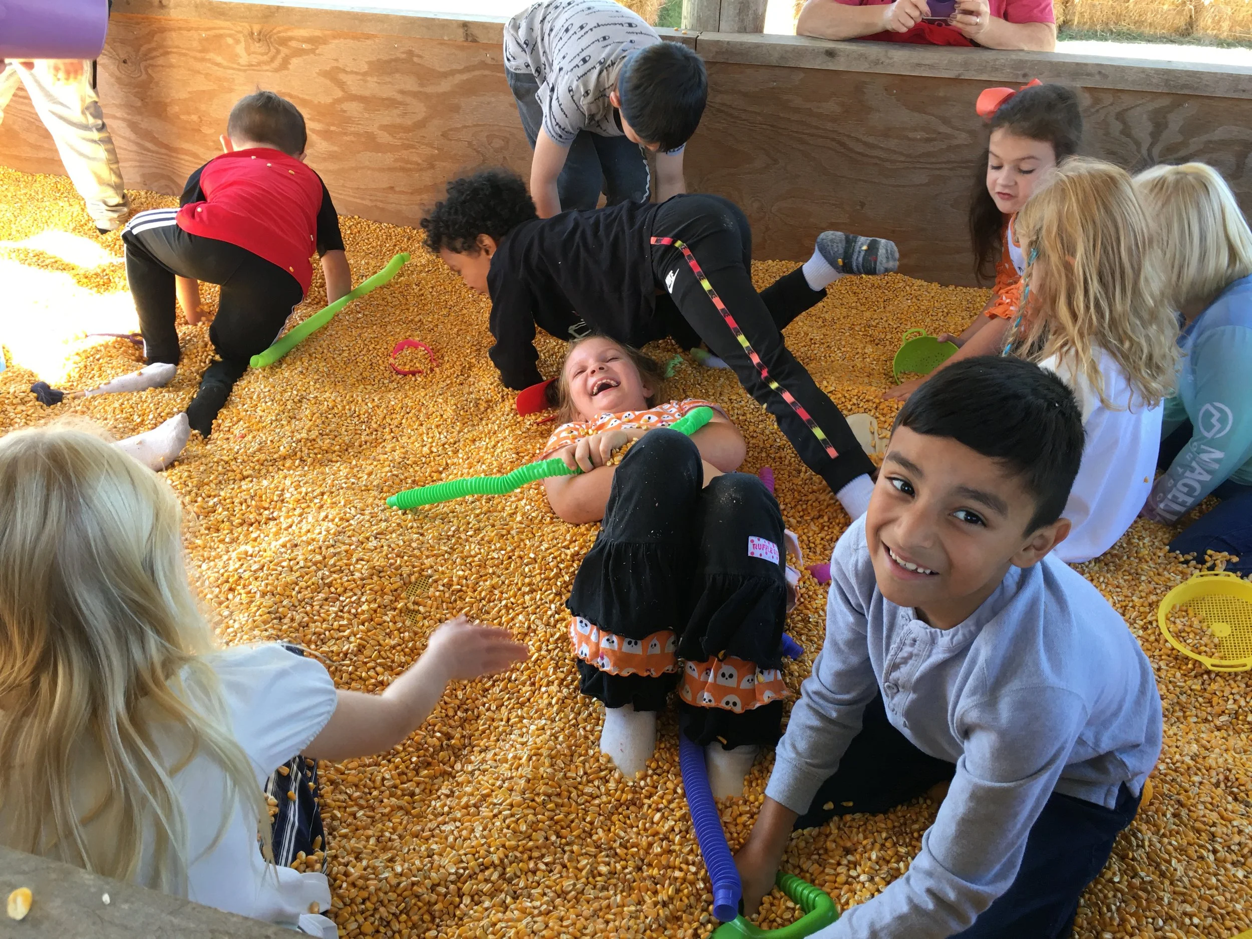 Field Trips — Holiday Acres Farm | Petting Zoo | Family Fun | Events ...