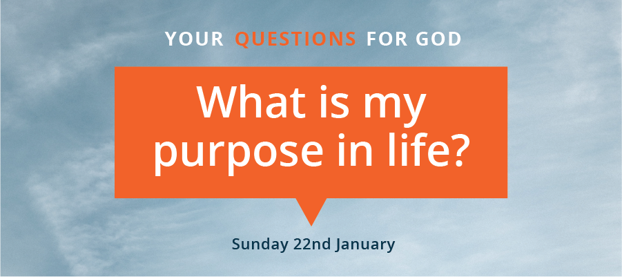 Questions for God :: What is My Purpose in Life? 