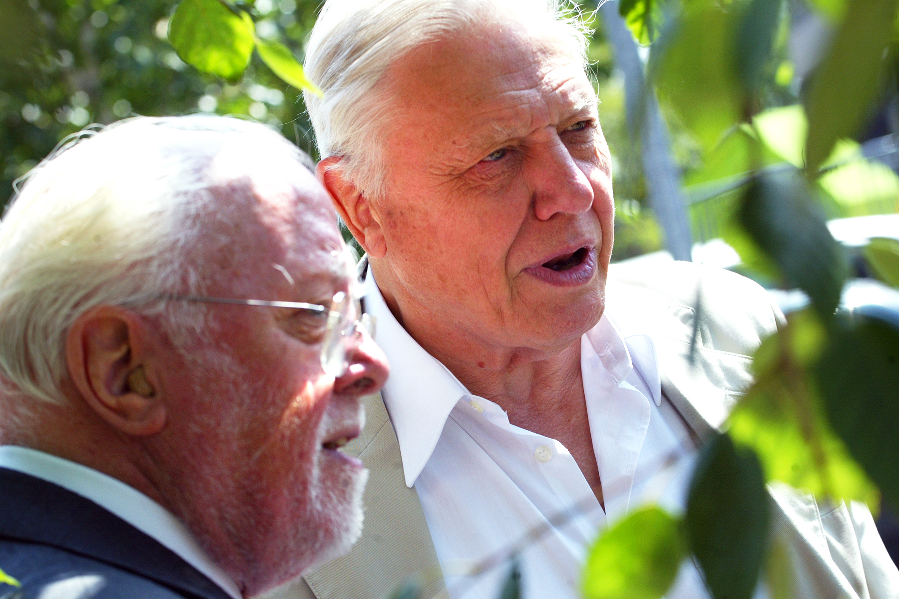 Attenborough brothers, Leicester.