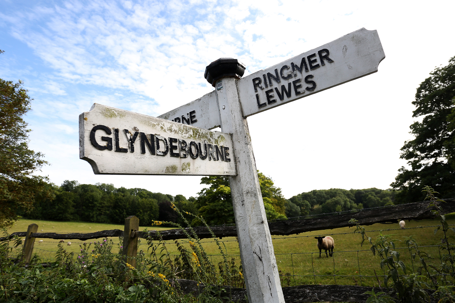 Audience and site photography.