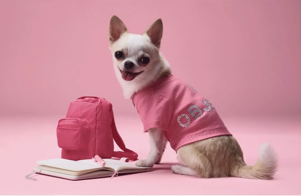 Custom capsule wardrobe and backpack for Tiffany the chihuahua and the new Legally Blonde Elle tv series