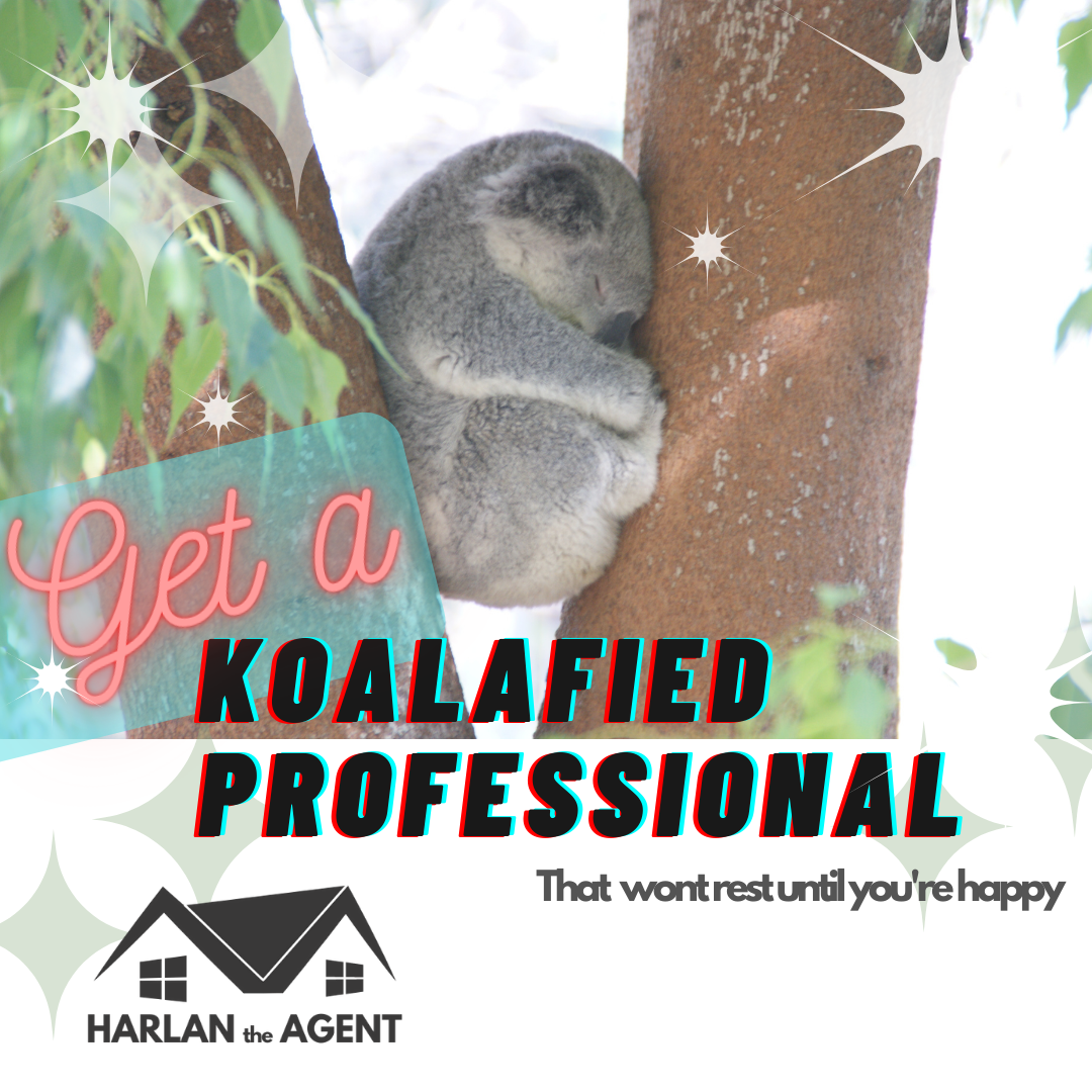 koalafied Professional (1).png