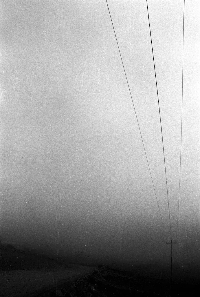 Fili Nebbia