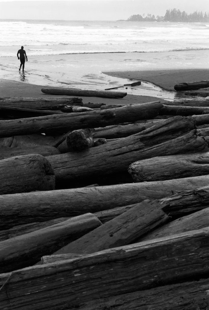 Surfer and logs