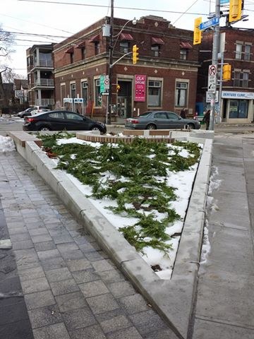 peace_garden_wintergreenery_02.jpg