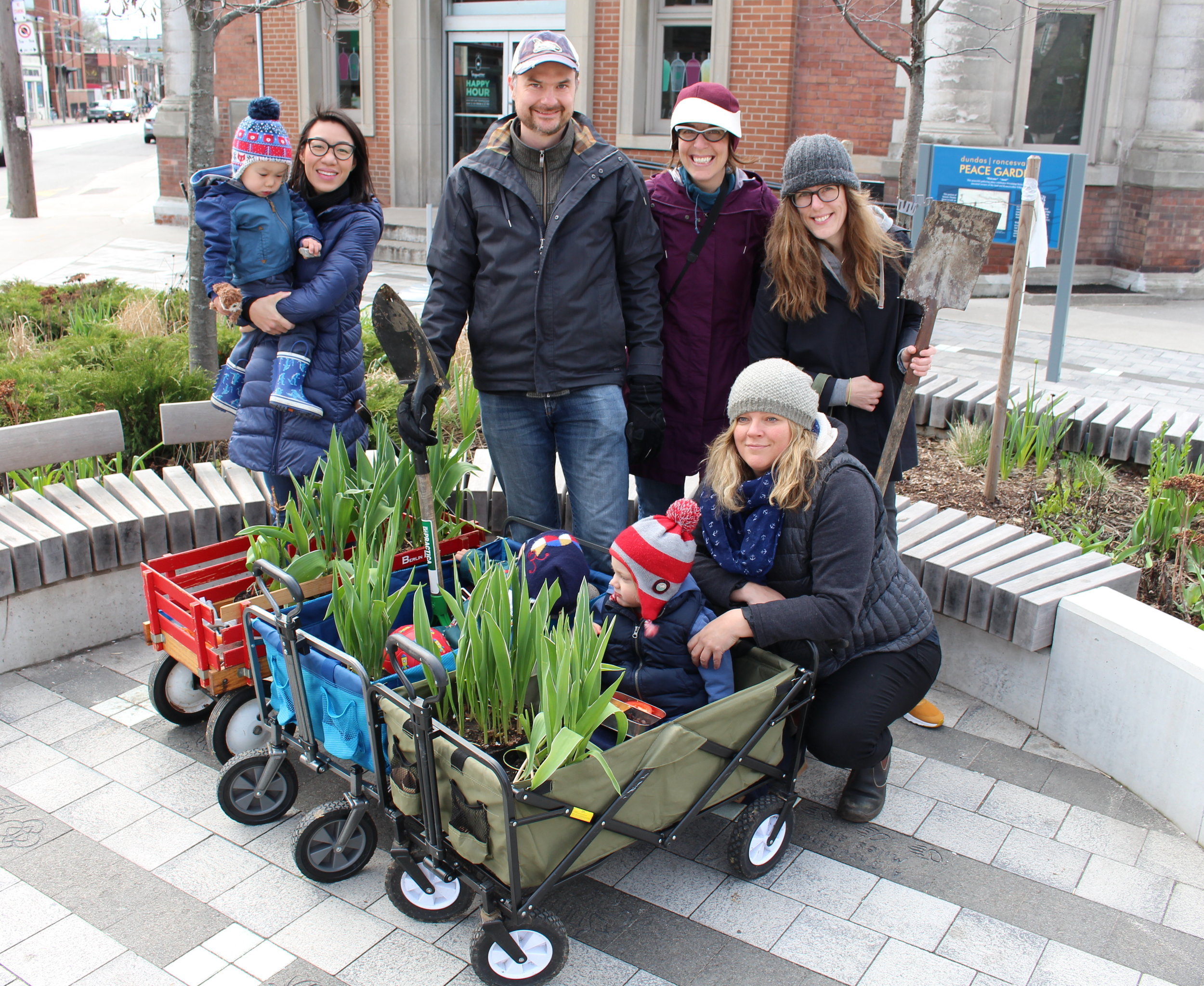 2017 tulip train third IMG_3198.jpg