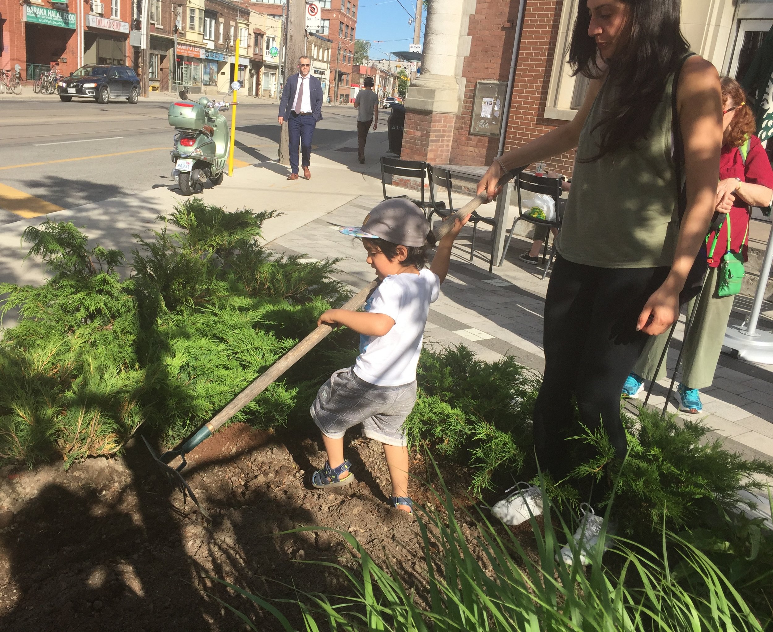 2017 June 21 Jack, raking.jpg