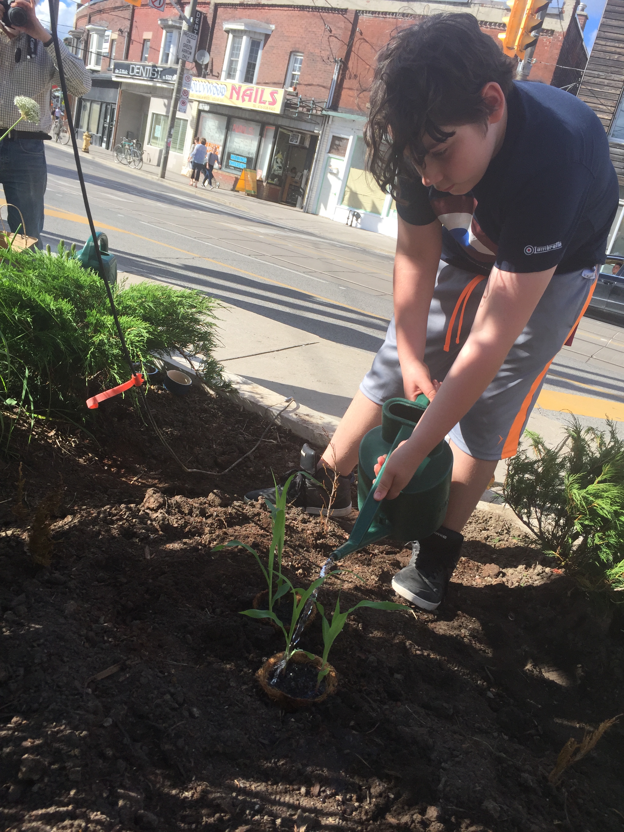 2017 June 21 Jack, watering.jpg