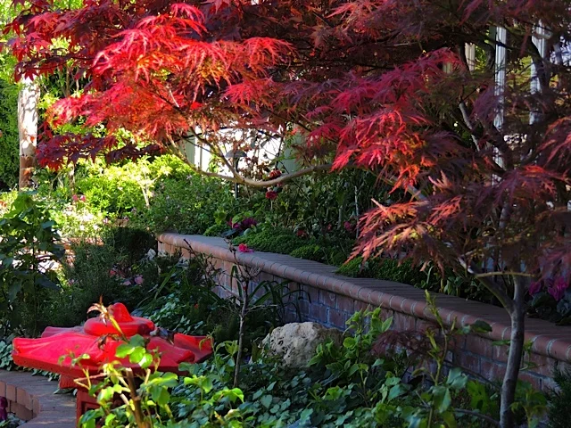 dscn3005.jpg