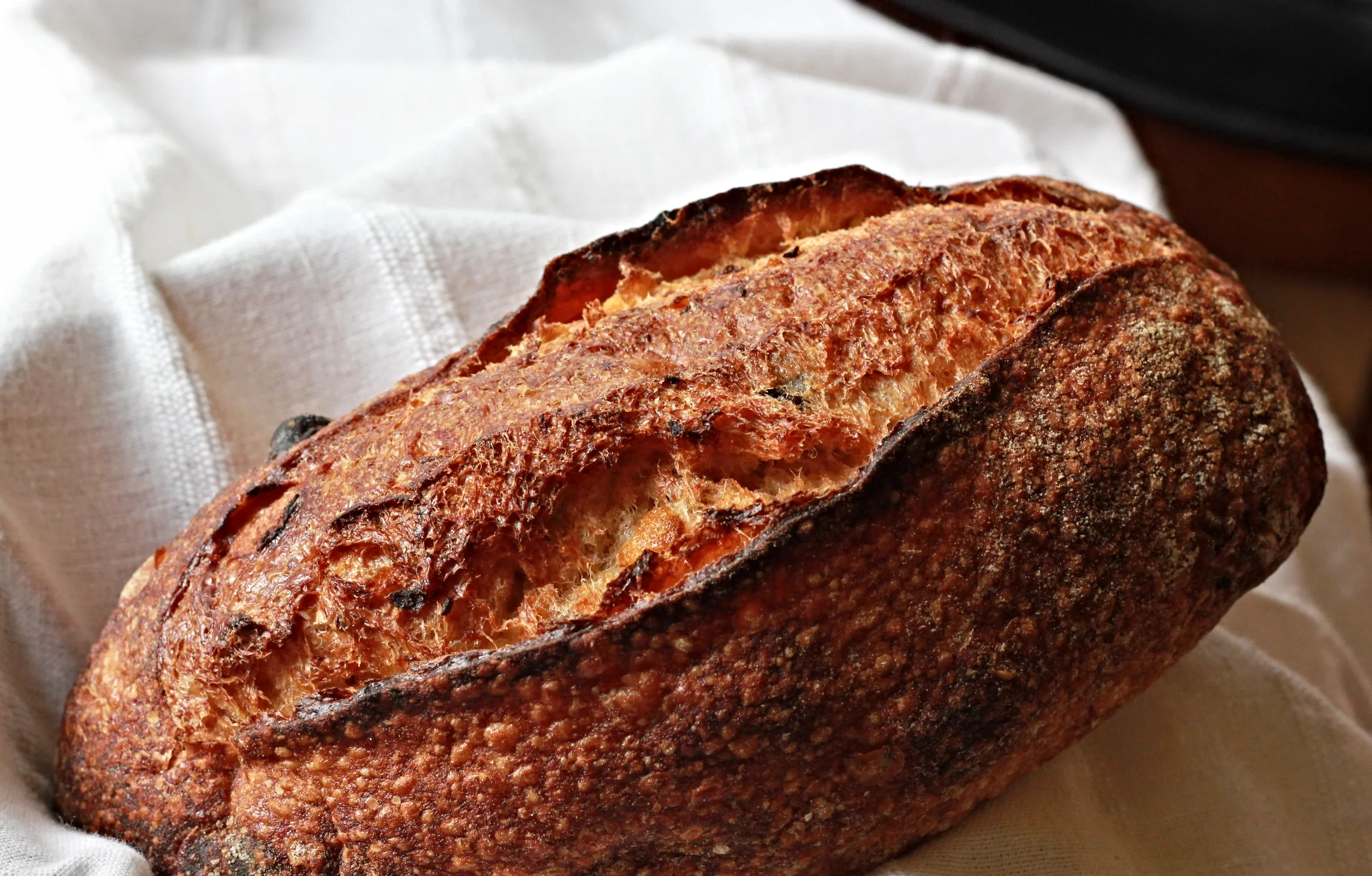 Chocolate Orange Loaf