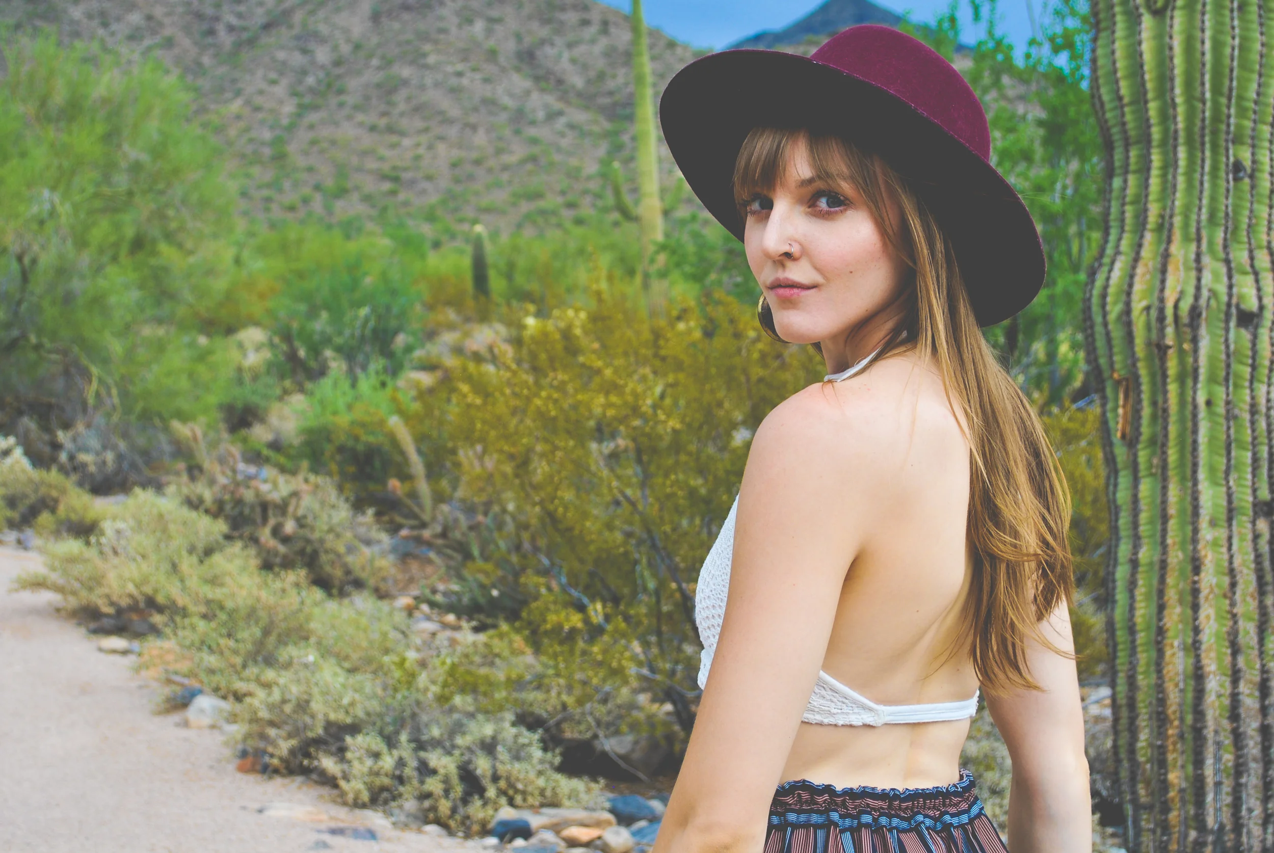 | I N T R O : Hullo There | 