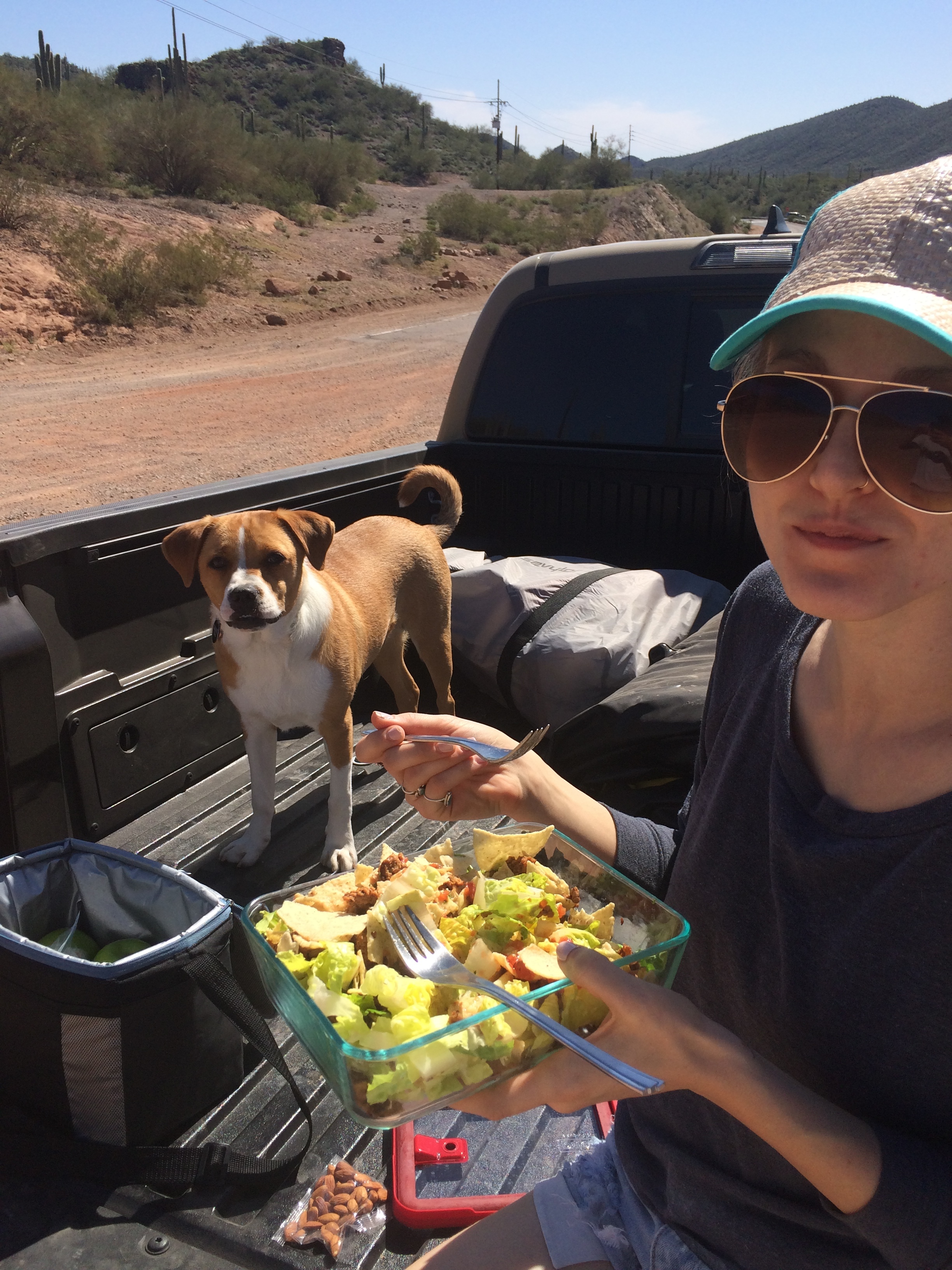 Picnic in the bed of the truck | Homemade taco salad with raw almonds and green apples