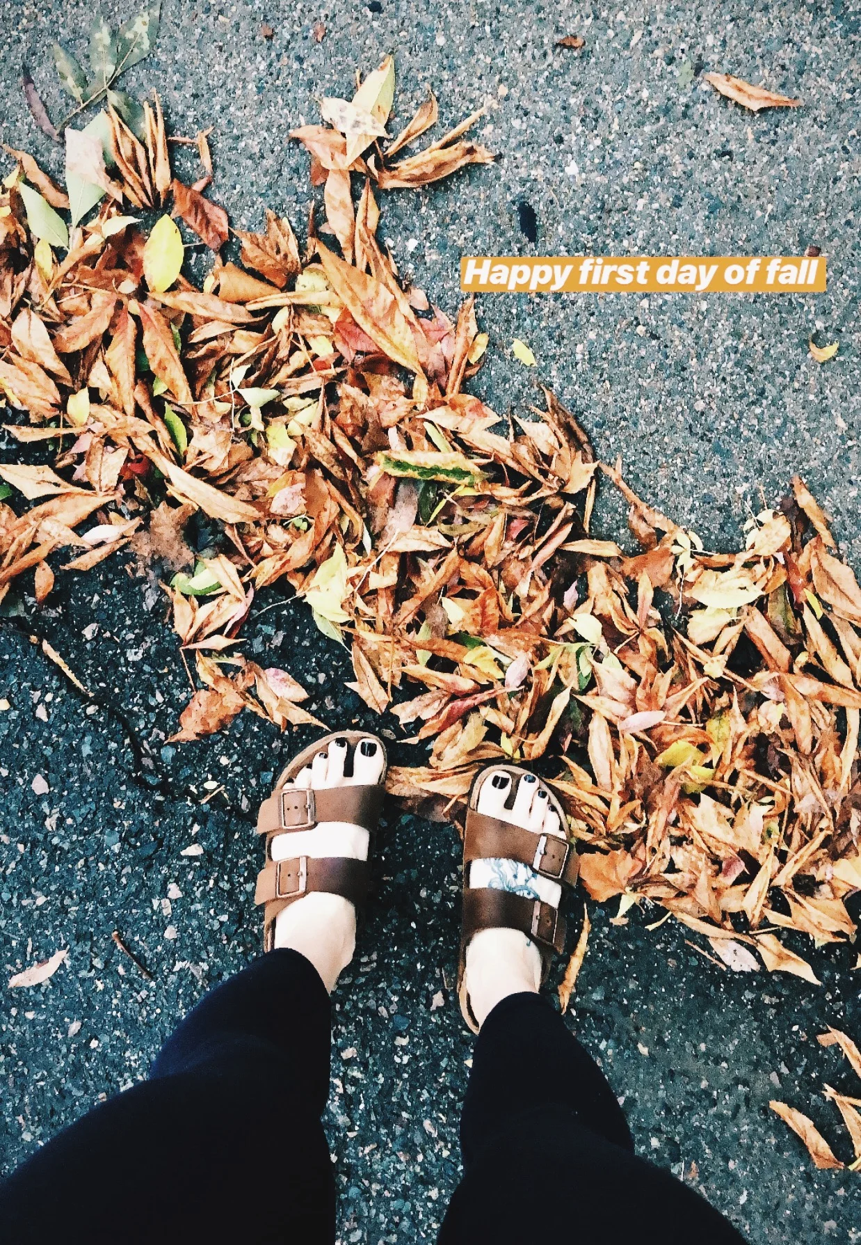 TUNES | FALL 2018 PLAYLIST 