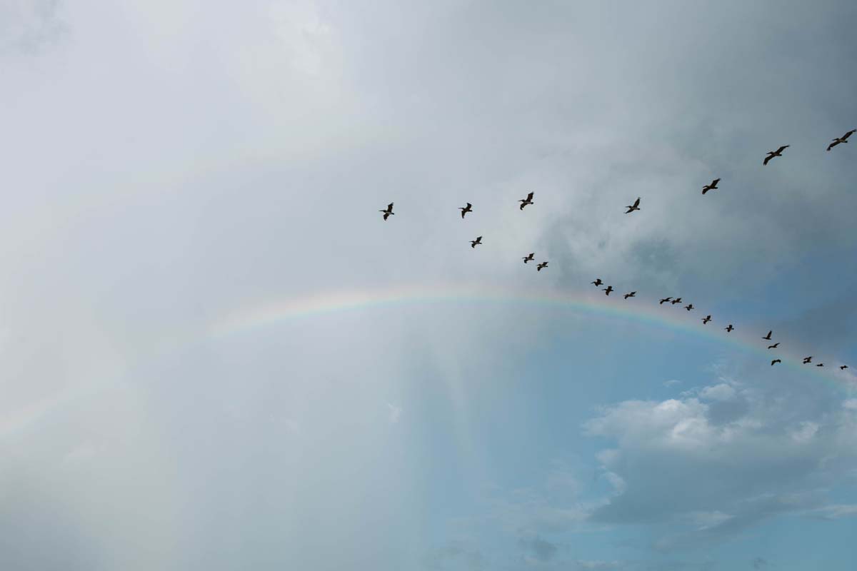 tybee-island-couples-session (32).jpg
