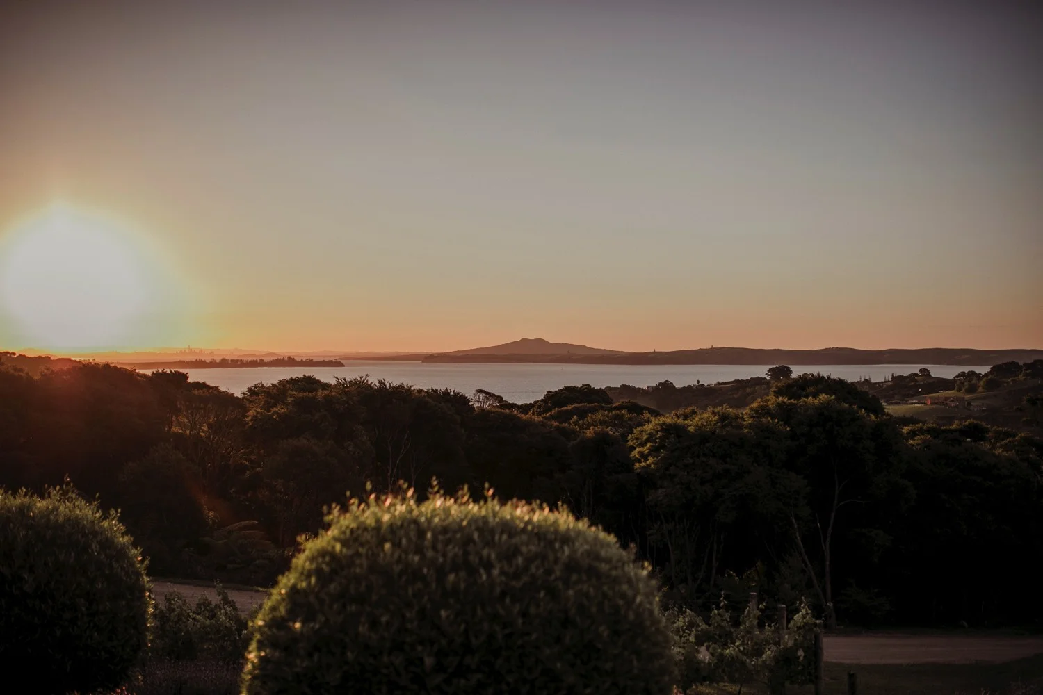 Lodge-at-Mudbrick-Waiheke-wedding-FM57.jpg