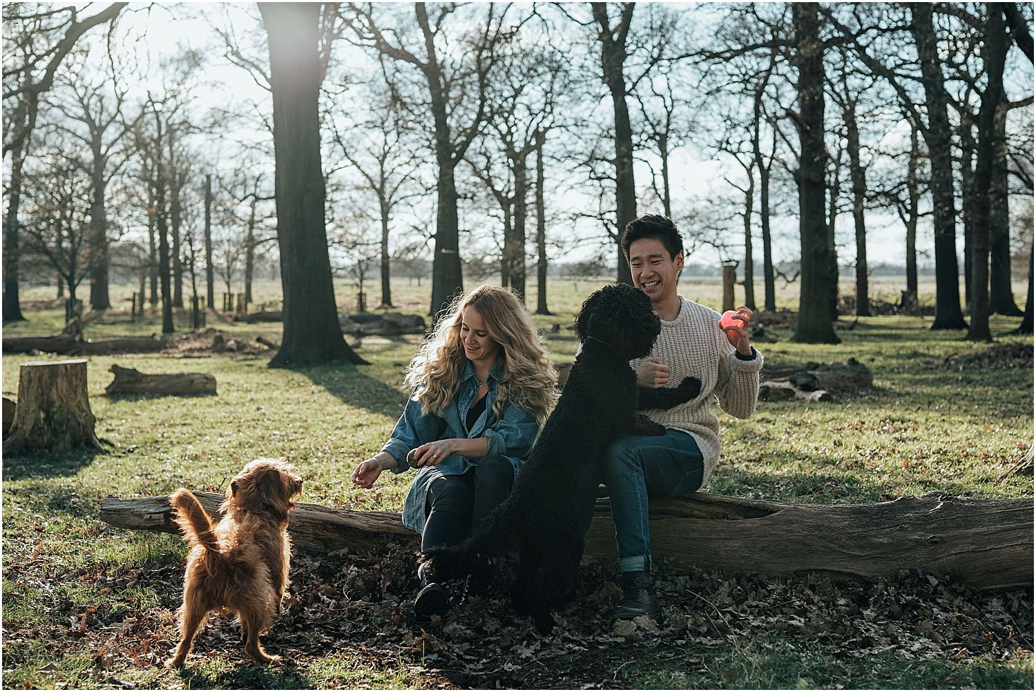 Engagement shoot Richmond Park with dogs_0001.jpg