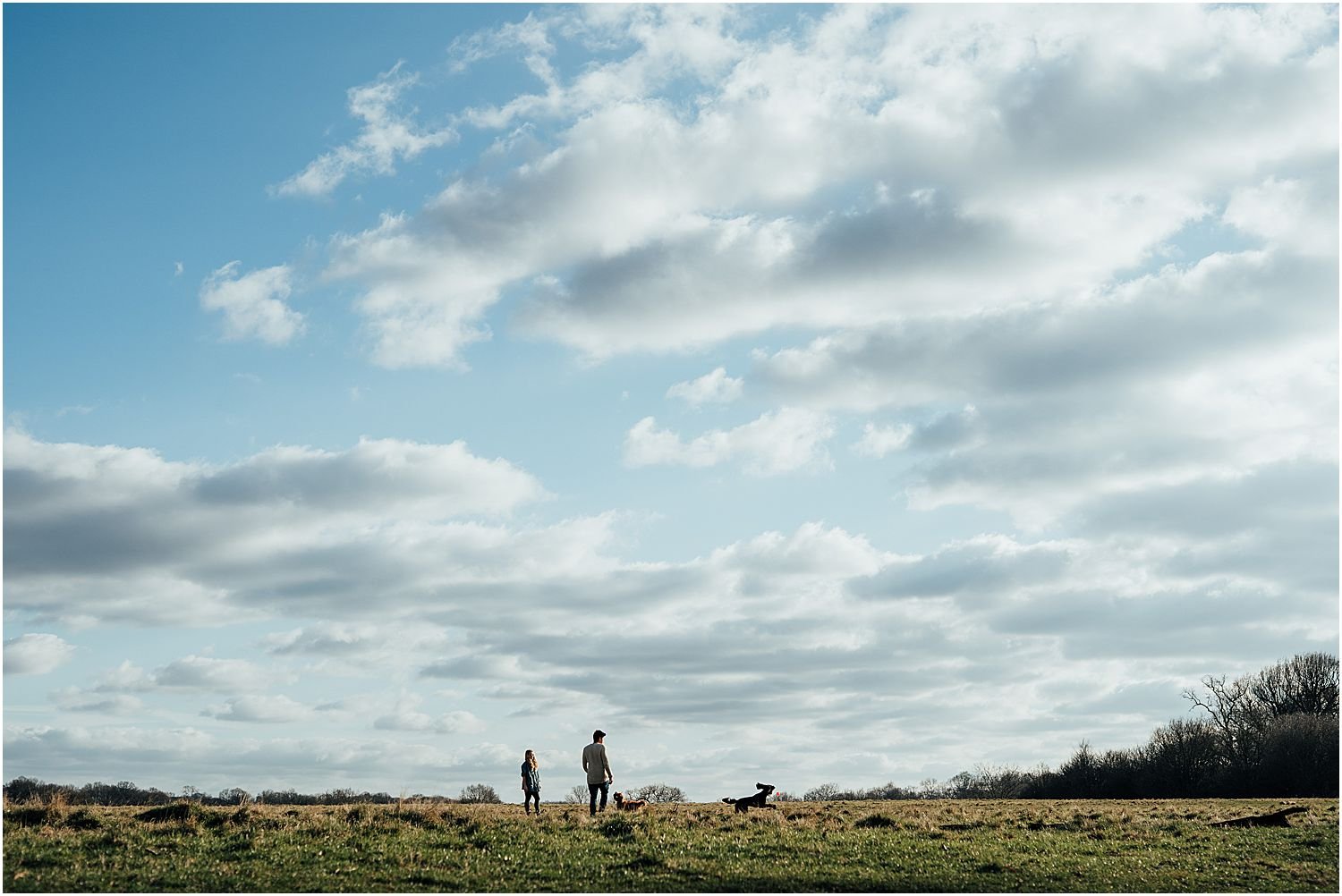 Engagement shoot Richmond Park with dogs_0005.jpg